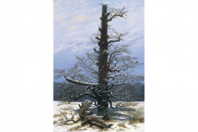 Kunstdruck Friedrich, Eichbaum im Schnee