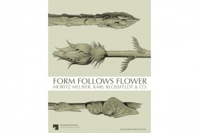 Form Follows Flower