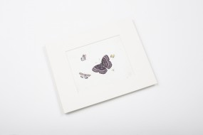 Miniprint in Passepartout: Henstenburgh, Schmetterlinge